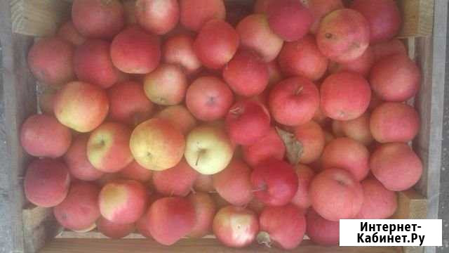 Яблоки айдоред Нальчик - изображение 1