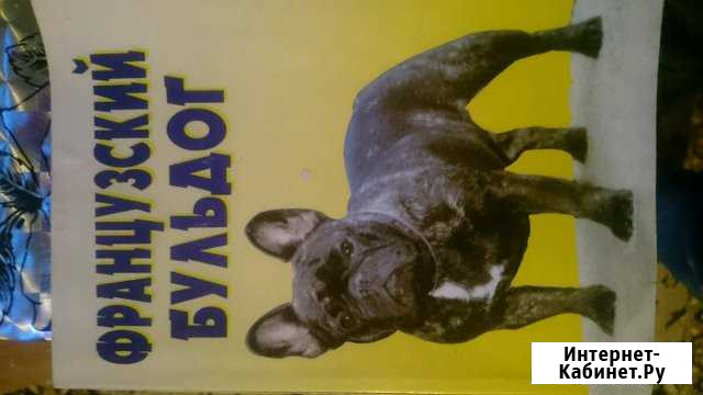 Книга по уходу за Французким бульдогом Муром - изображение 1