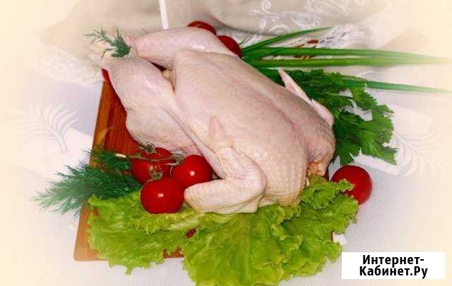 Мясо домашних кур-бройлера. Перепела Валдай - изображение 1