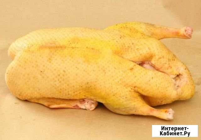 Домашнее мясо гуся Городище - изображение 1
