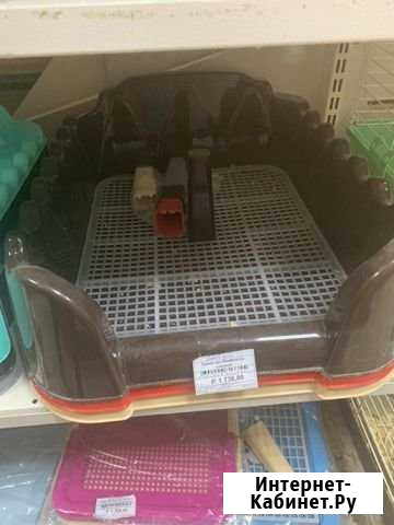 Туалет для собак Саратов - изображение 1