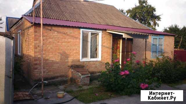 Дом 65 кв.м. на участке 25 сот. Эдиссия - изображение 1