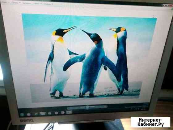 Монитор ЖК 19 Benq FP91g+ Брянск