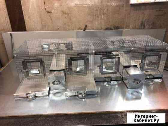 Клетки для разведения шиншилл Липецк