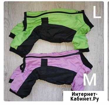 Комбинезон для собак Смоленск - изображение 1