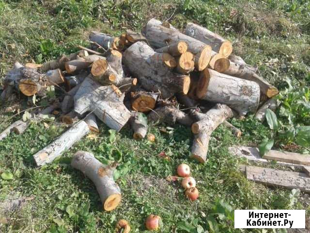 Дрова Нартан - изображение 1