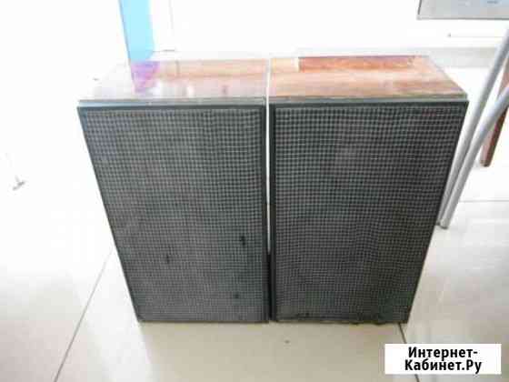 Акустическая система 15ас-204, двухполосная Казань