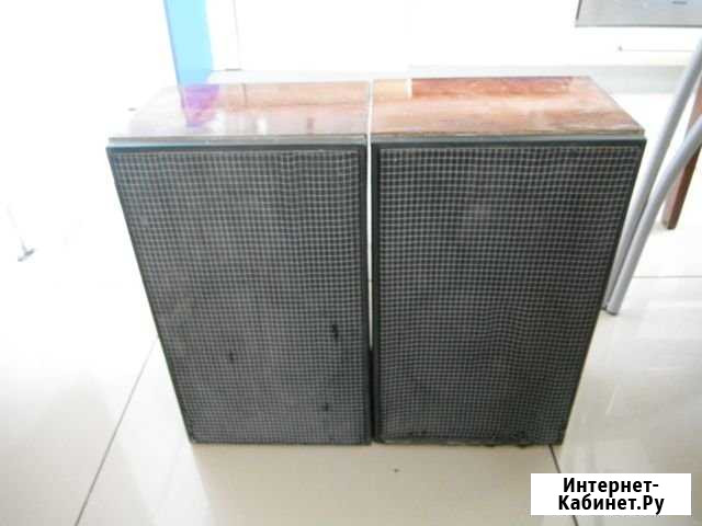 Акустическая система 15ас-204, двухполосная Казань - изображение 1