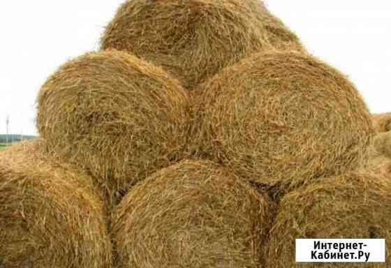 Солома Красноярск