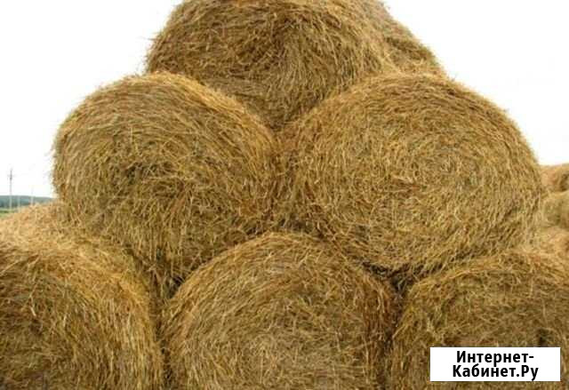 Солома Красноярск - изображение 1