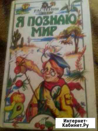 Книга Раменское