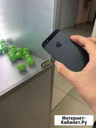 iPhone 5 Тайга