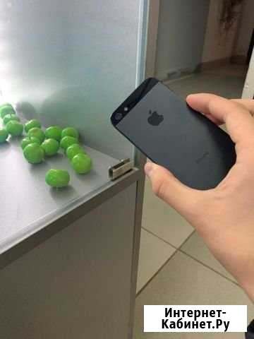 iPhone 5 Тайга - изображение 1
