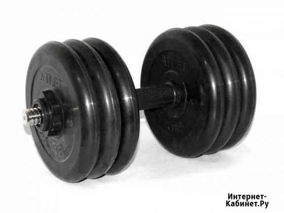 Гантель разборная обрезиненная Barbell 31,5 кг Вологда