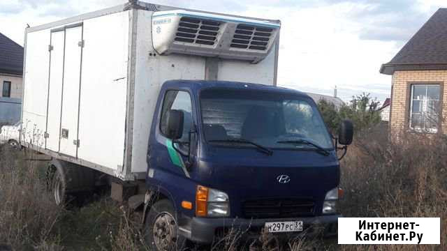 Hyundai HD 72 реф Алексеевка - изображение 1