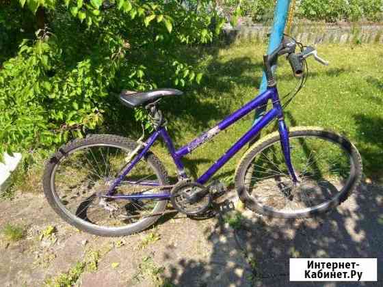 Велосипед Калининград