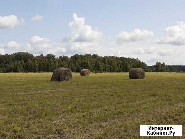 Сено в рулонах Можайск - изображение 1