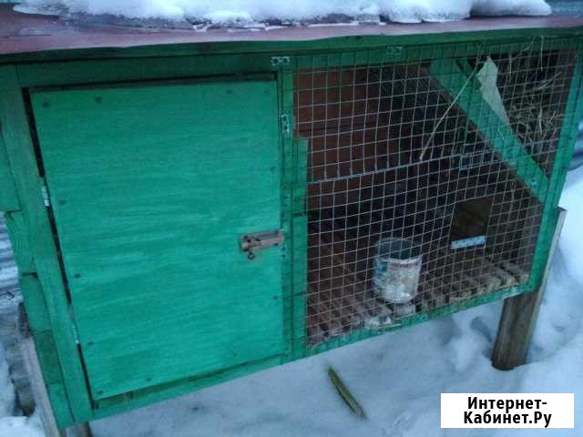 Клетка для кроликов Пролетарский - изображение 1