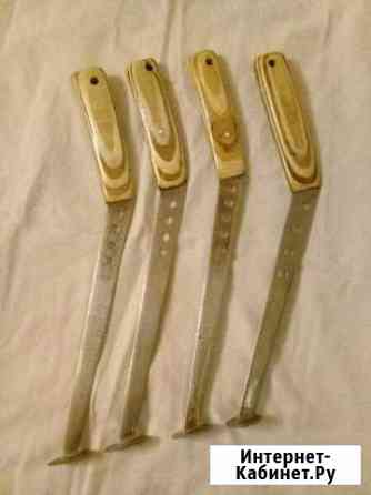 Квок на сома Кострома