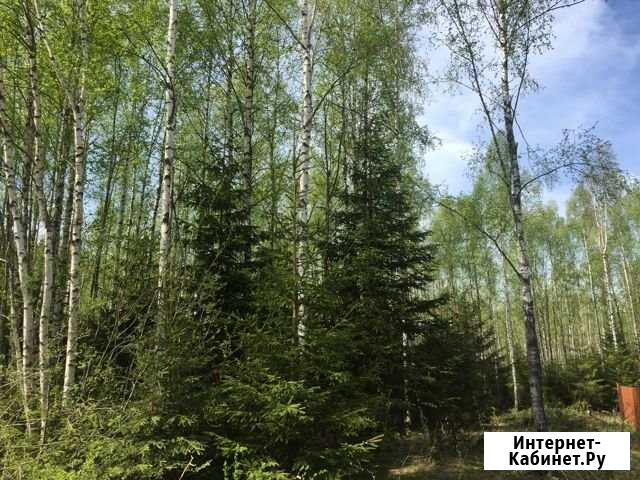 Участок 10 сот. (СНТ, ДНП) Зеленогорск - изображение 1