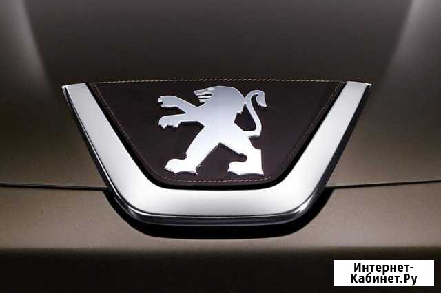 Ремонт задней(торсионной) балки Peugeot, Citroen Липецк - изображение 1