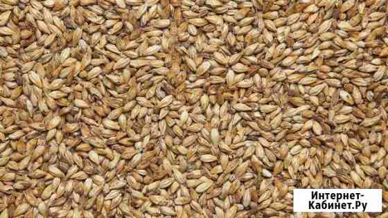 Солод Карамельный 150 евс, 1кг Краснодар