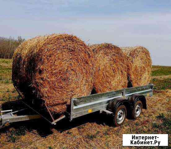 Солома для мульчи, для животных Заокский