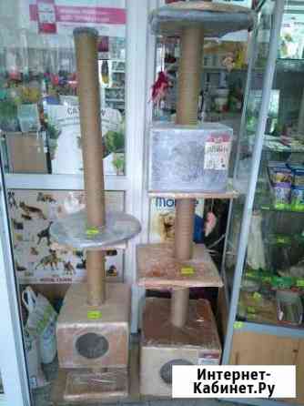 Когтеточки Пермь