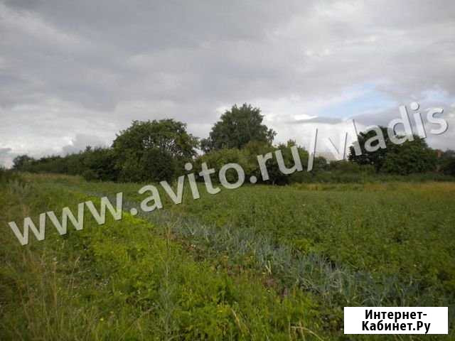 Участок 55 сот. (ИЖС) Суздаль - изображение 1