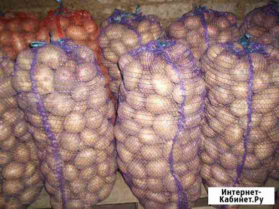 Картофель Канаш