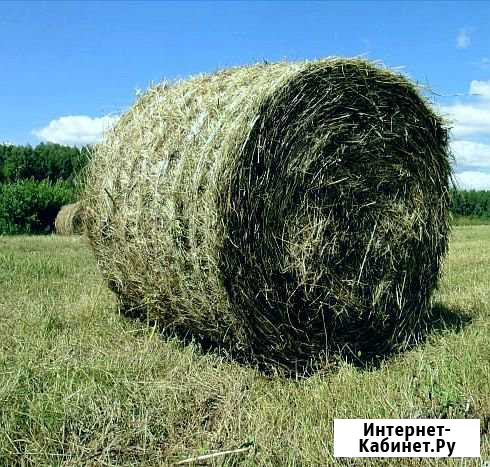 Сено Ясногорск - изображение 1