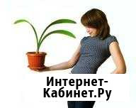 Фитодизайн интерьера, зимние сады Северное - изображение 1