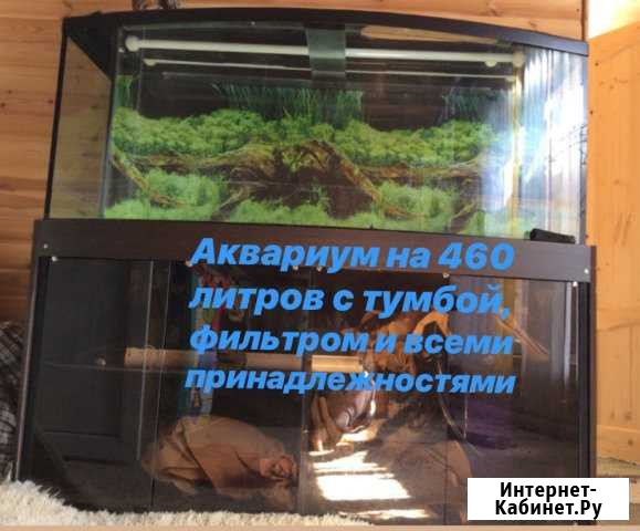 Аквариум Армавир - изображение 1