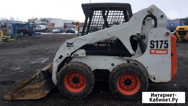 Аренда мини погрузчика Bobcat Димитровград - изображение 1