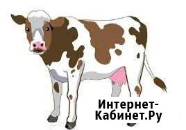Продается корова Калининск - изображение 1