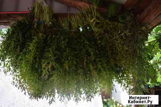 Мелисса веник Белгород