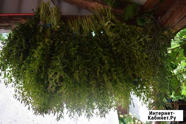 Мелисса веник Белгород - изображение 1