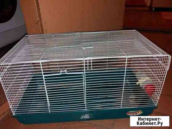 Клетка Вологда