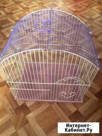 Клетка Тольятти