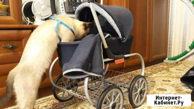 Коляска детская Александров - изображение 1