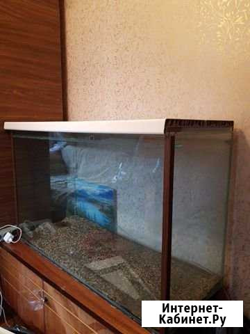 Продам аквариум (200 л), 38*58*98 Ярославль - изображение 1