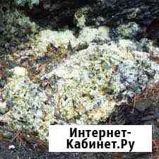 Каменное масло Красногорск