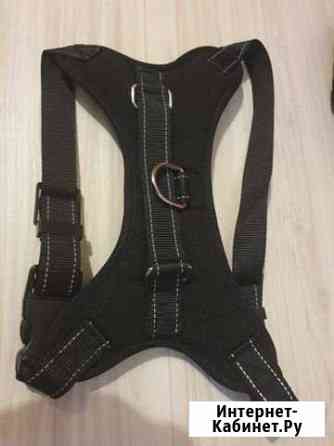 Шлейка Петрозаводск