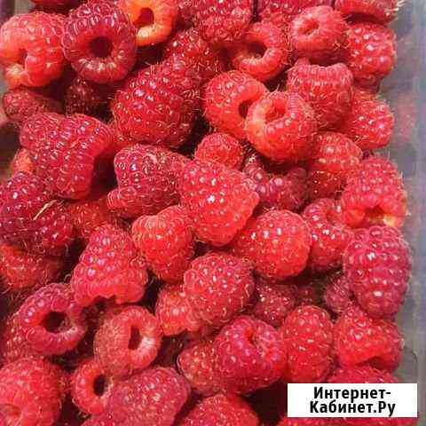 Саженцы малины Кропоткин