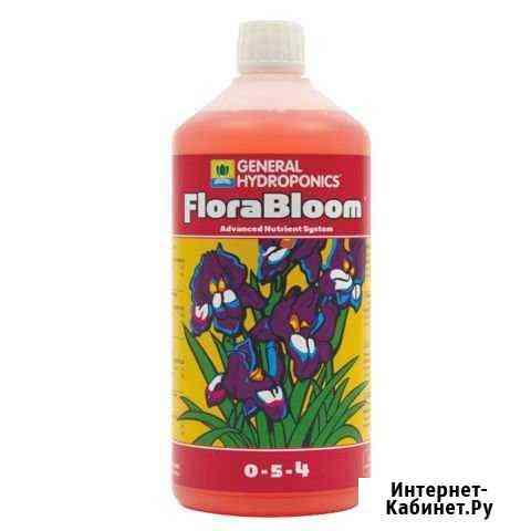 GHE Flora Bloom Калининград