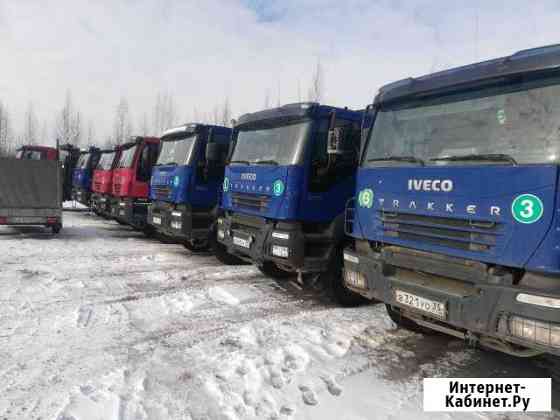 Самосвал Ивеко Треккер Iveco Trekker Череповец