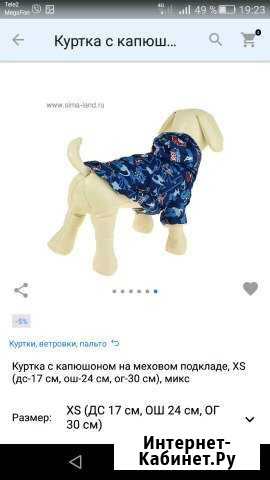 Куртка для собаки Когалым - изображение 1