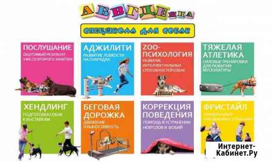 Абвгдейка - школа для собак. Дрессировка от А до Я Комсомольск-на-Амуре