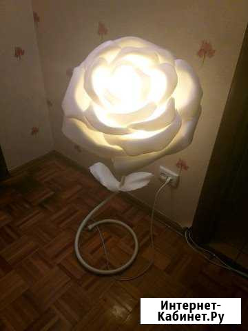 Ростовые цветы Красноярск - изображение 1