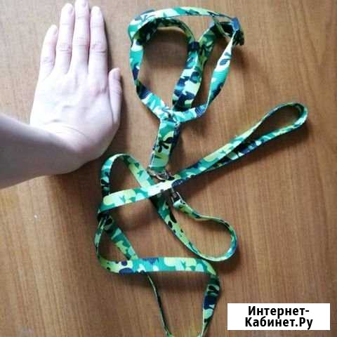 Поводок Златоуст - изображение 1